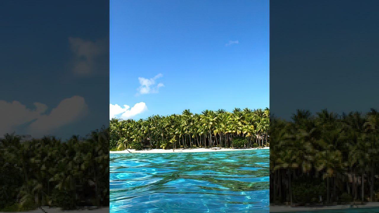 Private Island Swimming Tropical Beach Vibes - Bora Bora, French Polynesia 4K HD Travel #shorts