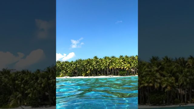 Private Island Swimming Tropical Beach Vibes - Bora Bora, French Polynesia 4K HD Travel #shorts