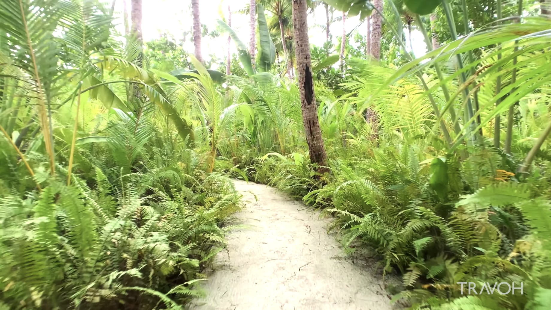 Private Island Trail Walk Tropical Paradise - Motu Tane Bora Bora, French Polynesia 4K Travel