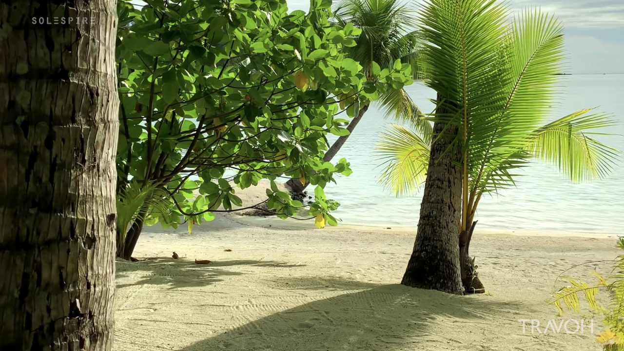 Private Island Walkthrough – Lifestyle – Bora Bora, Motu Tane, French Polynesia 🇵🇫 – 4K Travel Video