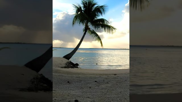 Tropical Beach Timelapse - Private Island ASMR - Bora Bora, French Polynesia - 4K HD Travel
