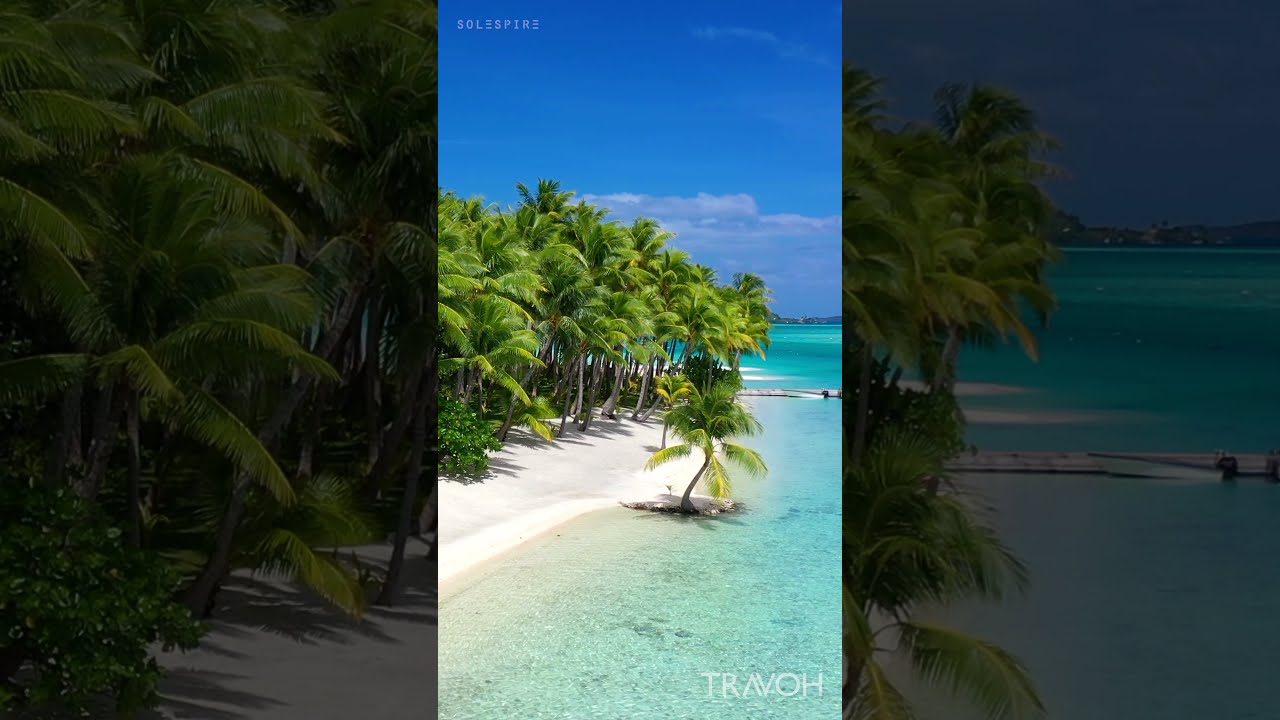 Tropical Dream Island Paradise - Motu Tane, Bora Bora, French Polynesia #shorts