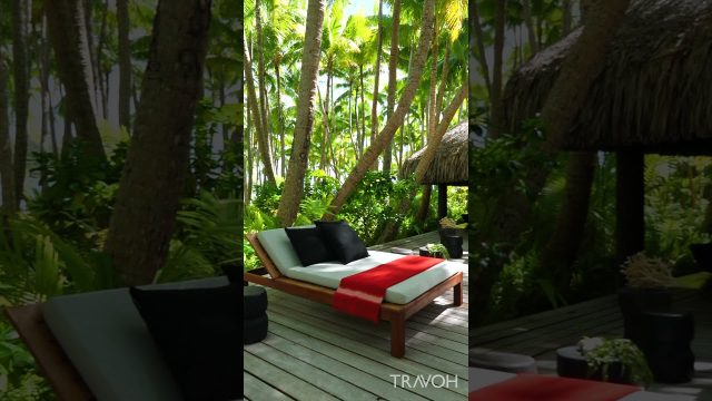Tropical Island Lifestyle - Motu Tane, Bora Bora, French Polynesia #shorts