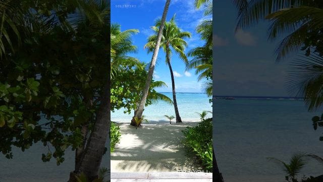 Tropical Island Living - Motu Tane, Bora Bora, French Polynesia #shorts