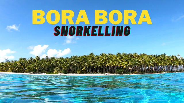 Tropical Island Swim - Ocean Coral Nature - Snorkelling - Bora Bora, French Polynesia - 4K Travel