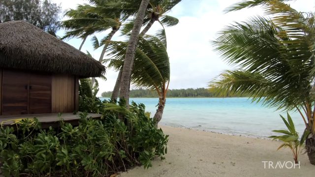 Tropical Island Walk - Ocean Beach Nature - Vacation - Bora Bora, French Polynesia - 4K Travel