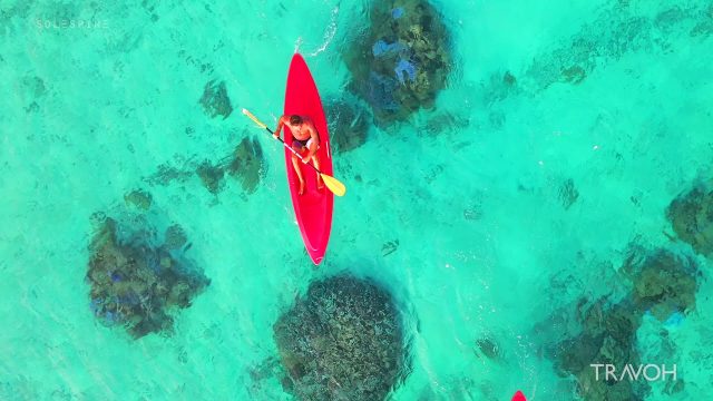 Tropical Paradise - Private Island - Ocean Coral Nature - Bora Bora, French Polynesia - 4K Travel