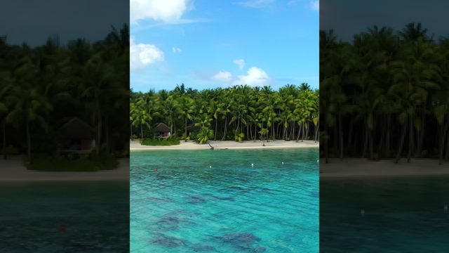 Tropical Private Island Drone Views - Motu Tane Bora Bora, French Polynesia - 4K Travel #shorts