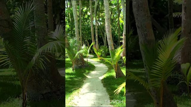 Tropical Private Island Motu Tane, Bora Bora, French Polynesia - 4K UHD Video - Travel #shorts