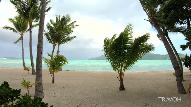 Tropical Private Island Tour - Ocean Paradise - Motu Tane Bora Bora, French Polynesia - 4K Travel
