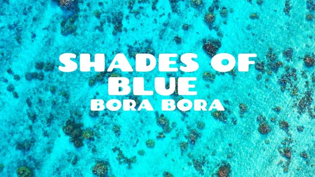 Tropical Shades of Blue, Beach, Ocean, Nature Motu Tane - Bora Bora, French Polynesia - 4K Travel