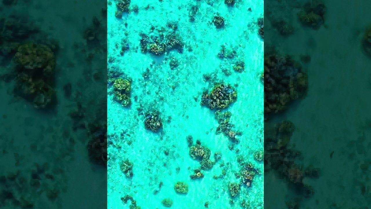 Tropical Turquouse Water Ocean - Motu Tane - Bora Bora, French Polynesia - 4K Travel #shorts