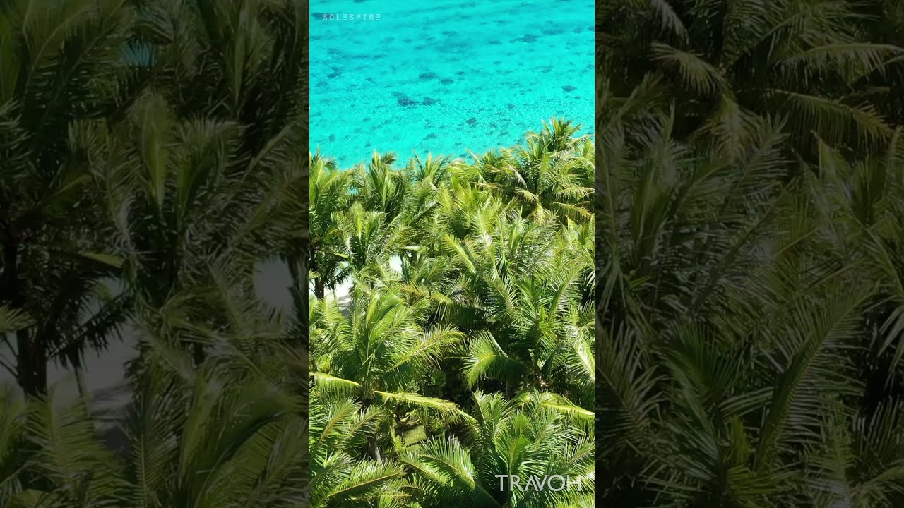 Ultra Luxury Dream Island - Tropical Paradise - Motu Tane - Bora Bora, French Polynesia #shorts