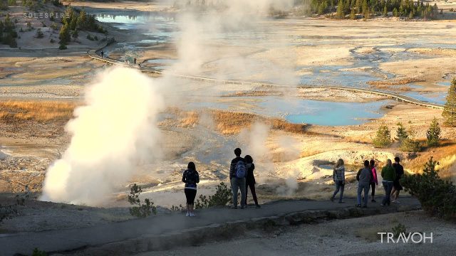Yellowstone National Park - Wyoming, USA - Geyser - Earth Geology - Nature Wilderness - HD Travel