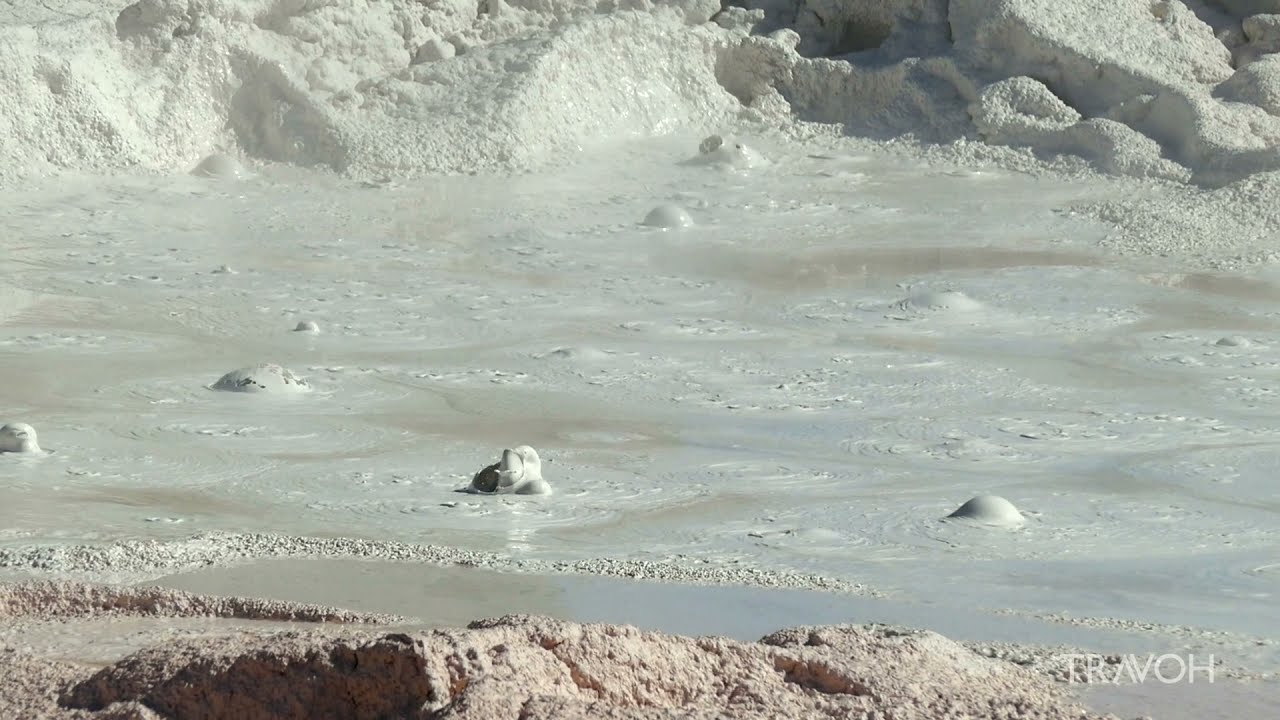 Yellowstone National Park - Wyoming, USA - Old Faithful Geyser - Earth - Nature - HD Travel Video