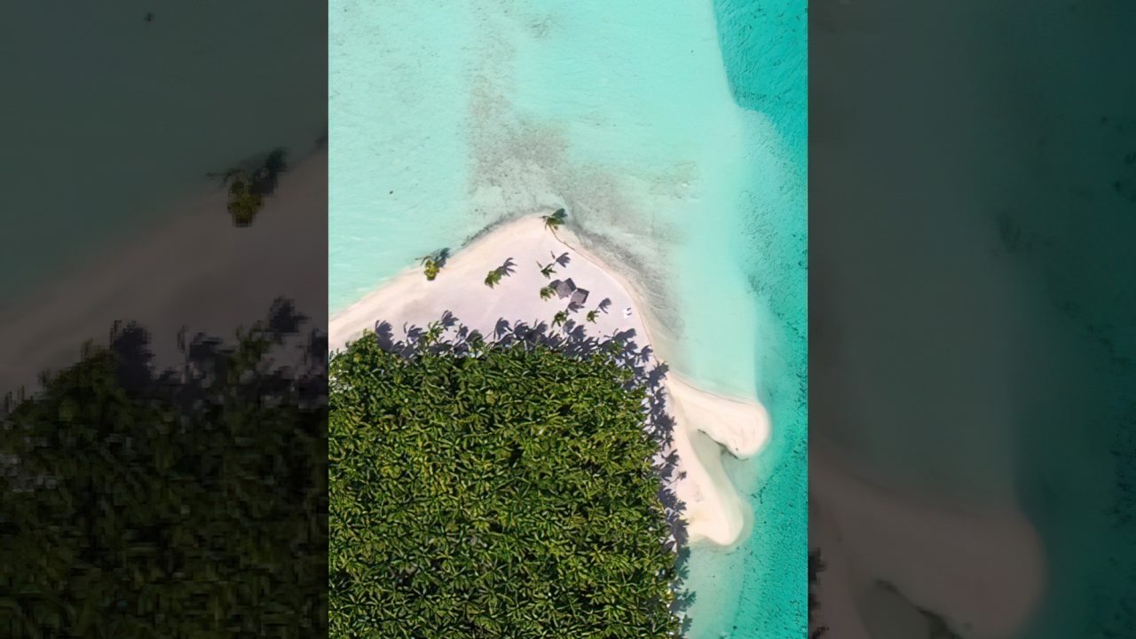 Drone Rising - Motu Tane to Bora Bora Island - Palm Trees, Blue Sea - French Polynesia #shorts