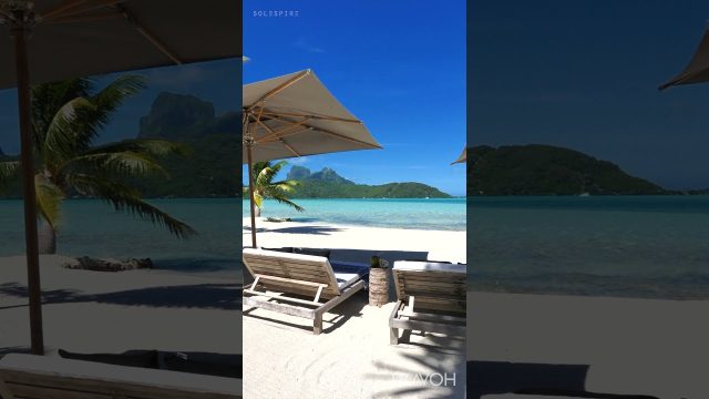 Motu Tane Private Island - Tropical Lifestyle - Bora Bora, French Polynesia 4K Travel #shorts