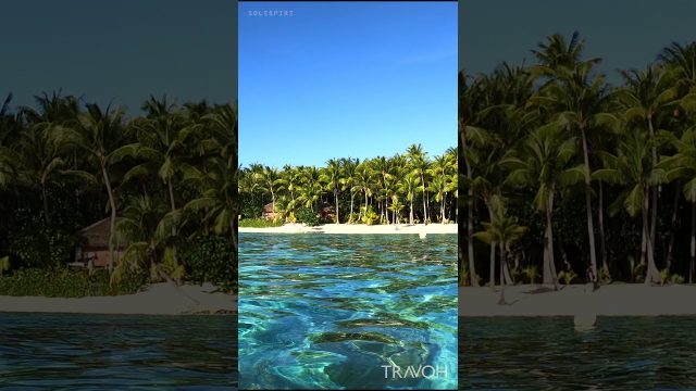 Private Island Ocean View - Motu Tane, Bora Bora, French Polynesia - 4K Ultra HD Travel #shorts