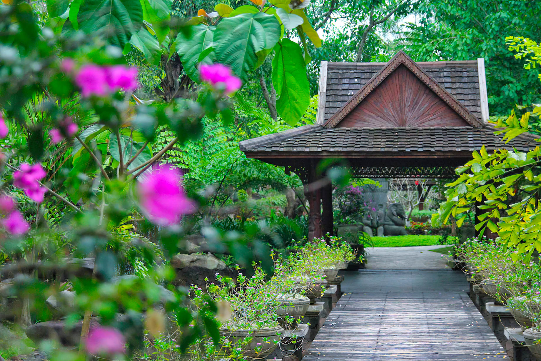 Anantara Xishuangbanna Resort – Mengla County, China – Garden