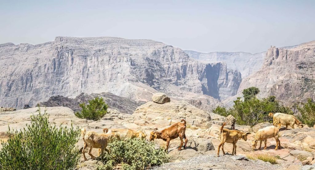 Anantara Al Jabal Al Akhdar Resort - Oman - Cliff View