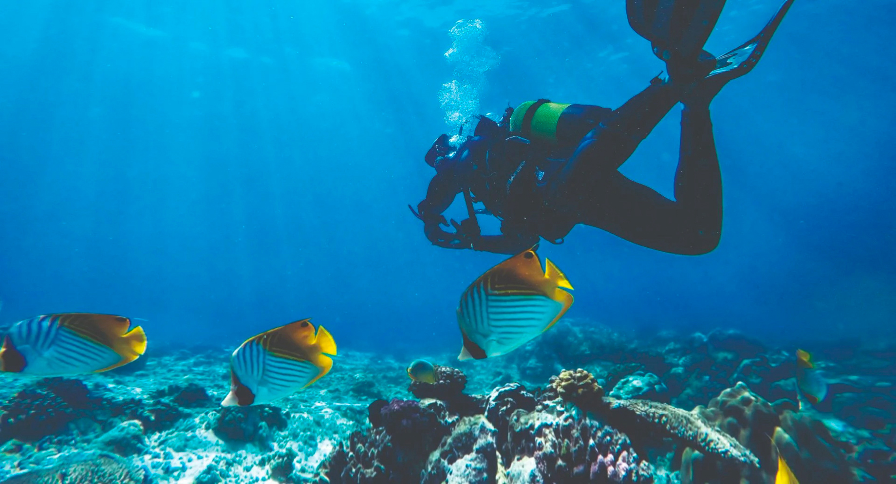 Anantara Medjumbe Island Resort – Mozambique – Diving