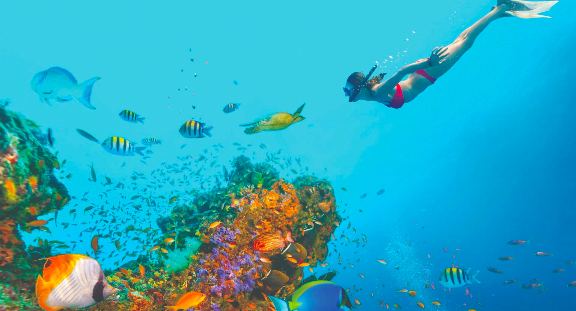 Anantara Medjumbe Island Resort – Mozambique – Snorkelling