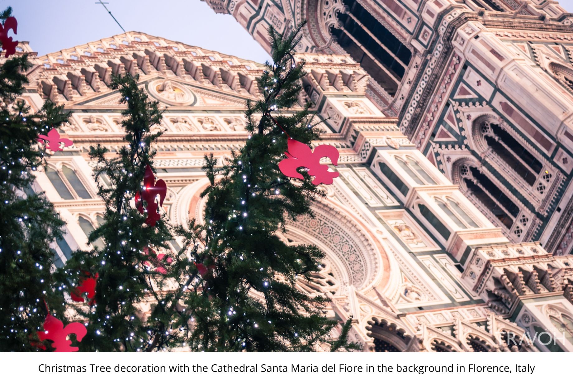 Christmas Tree decoration with the Cathedral Santa Maria del Fore in the background in Florence, Italy