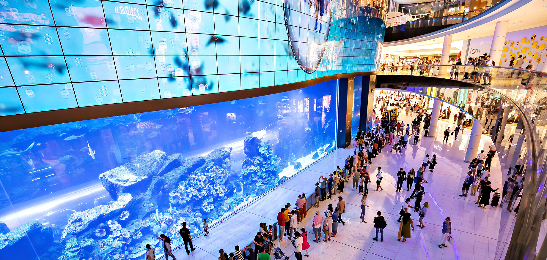 Dubai Aquarium And Underwater Zoo - The Dubai Mall