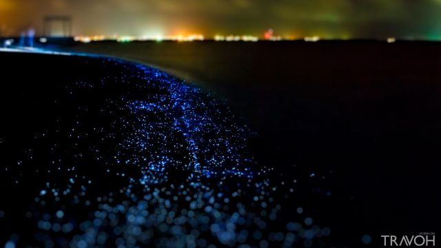 Illumination of plankton at a beach in the Maldives