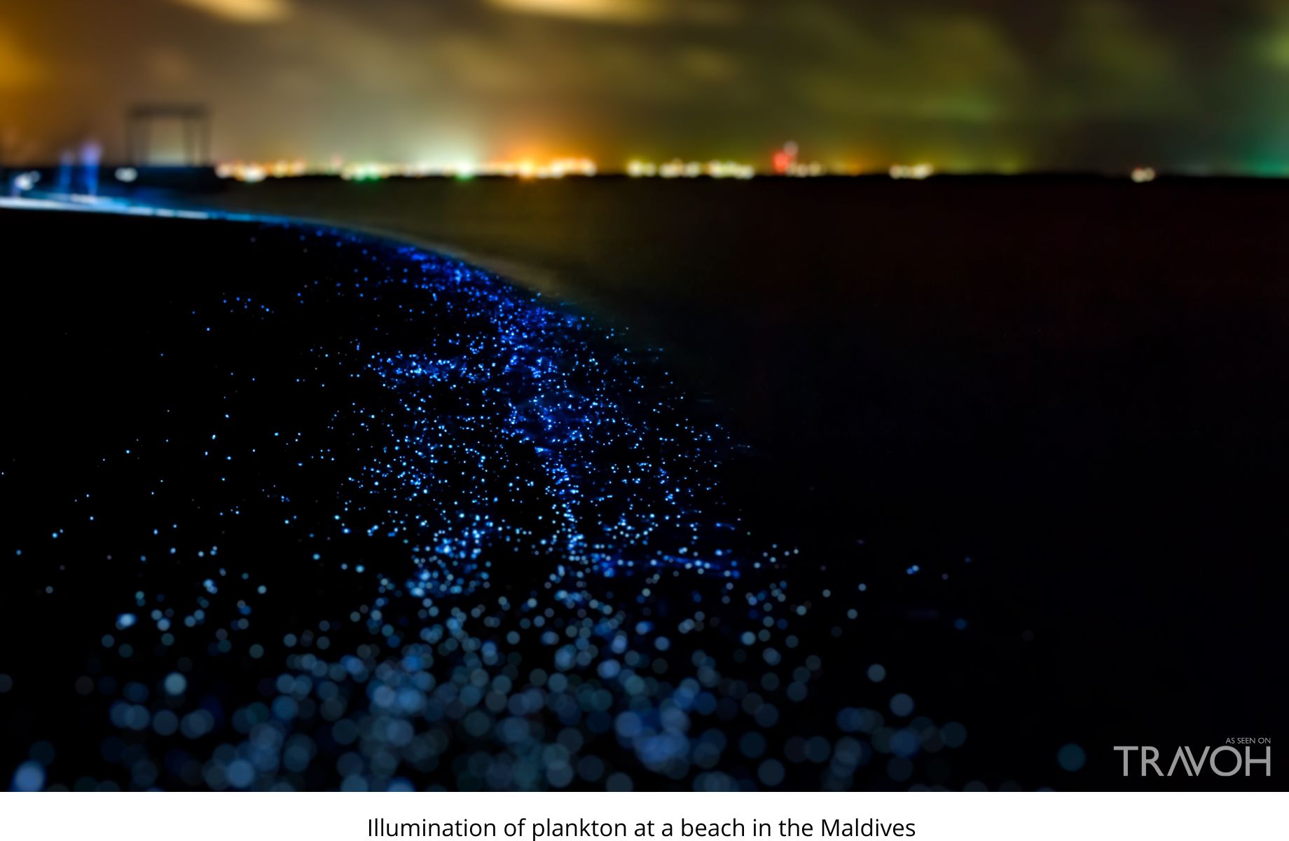 Illumination of plankton at a beach in the Maldives