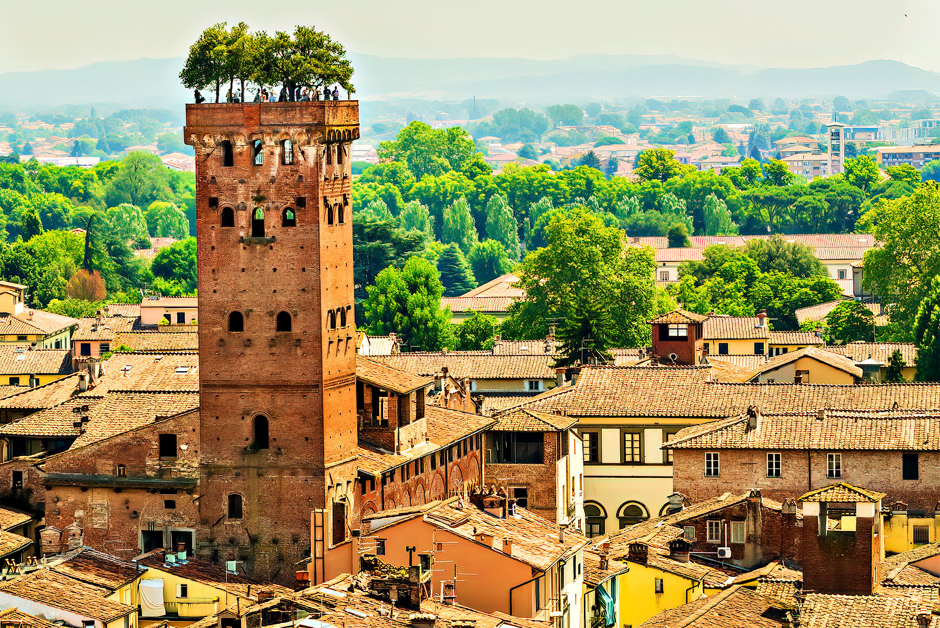 Medieval Guinigi Tower in Lucca, Italy