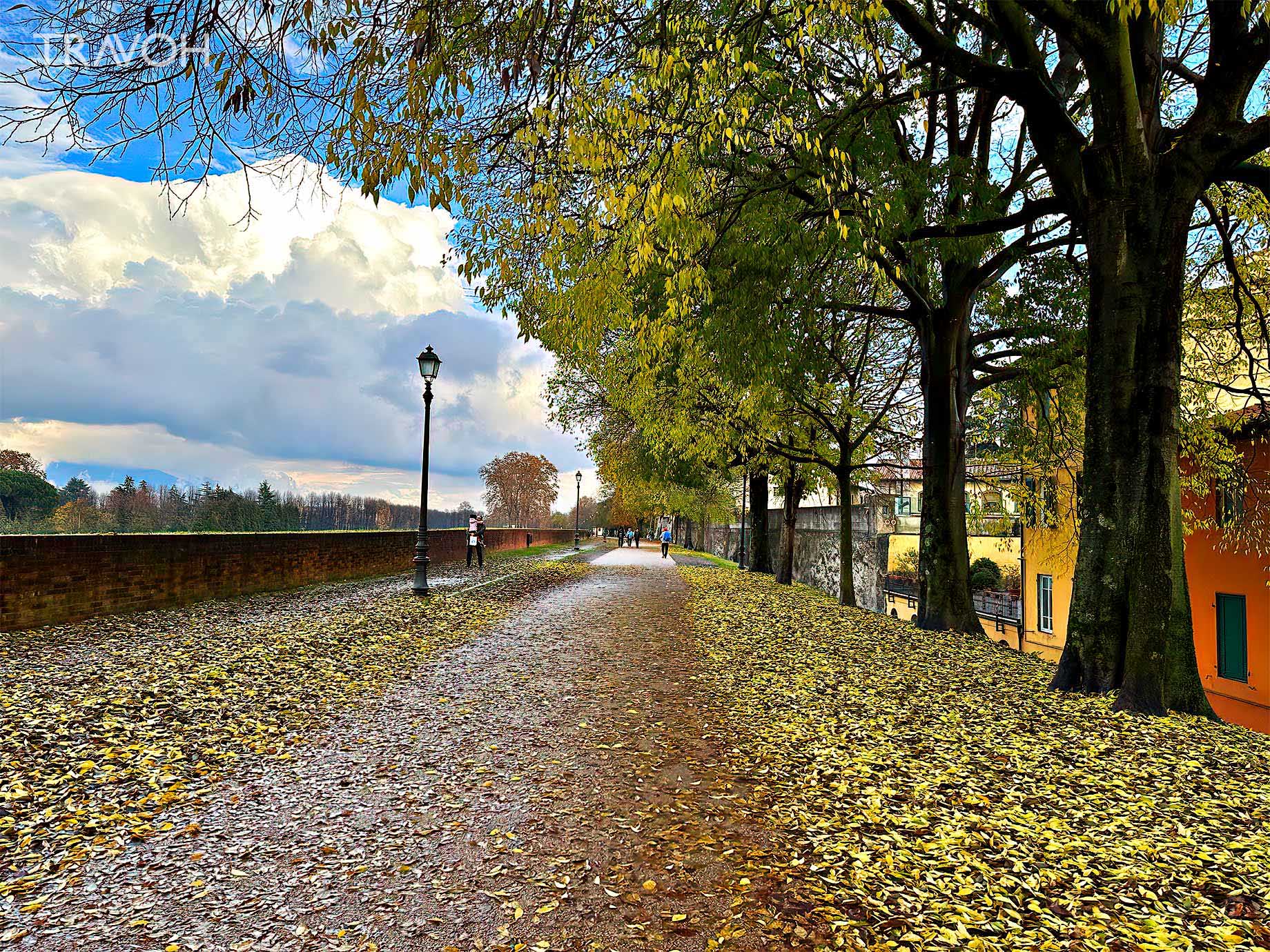 Walking pathway on the wall in Lucca, Italy