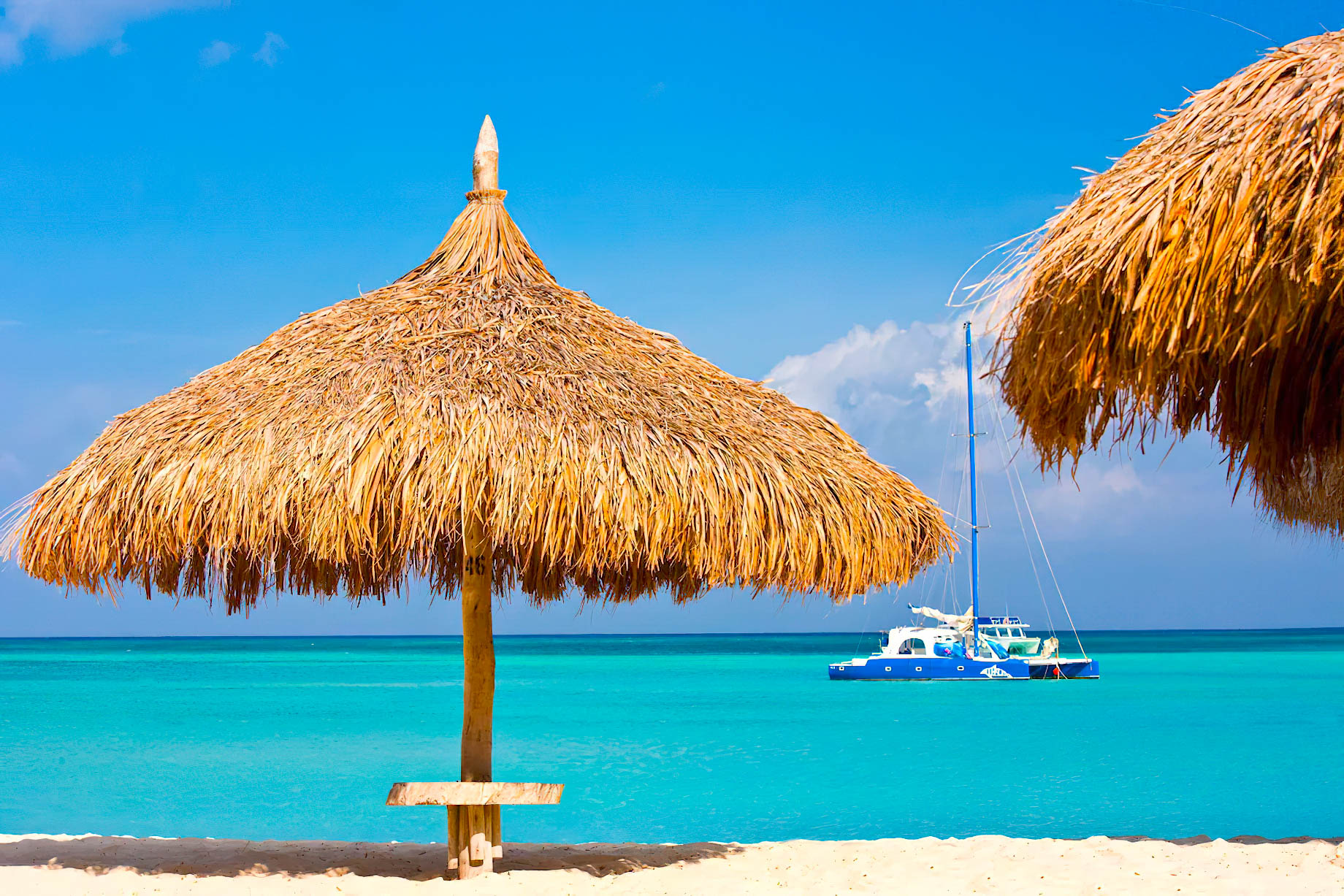 Hyatt Regency Aruba Resort & Casino - Noord, Aruba - Beach Ocean View