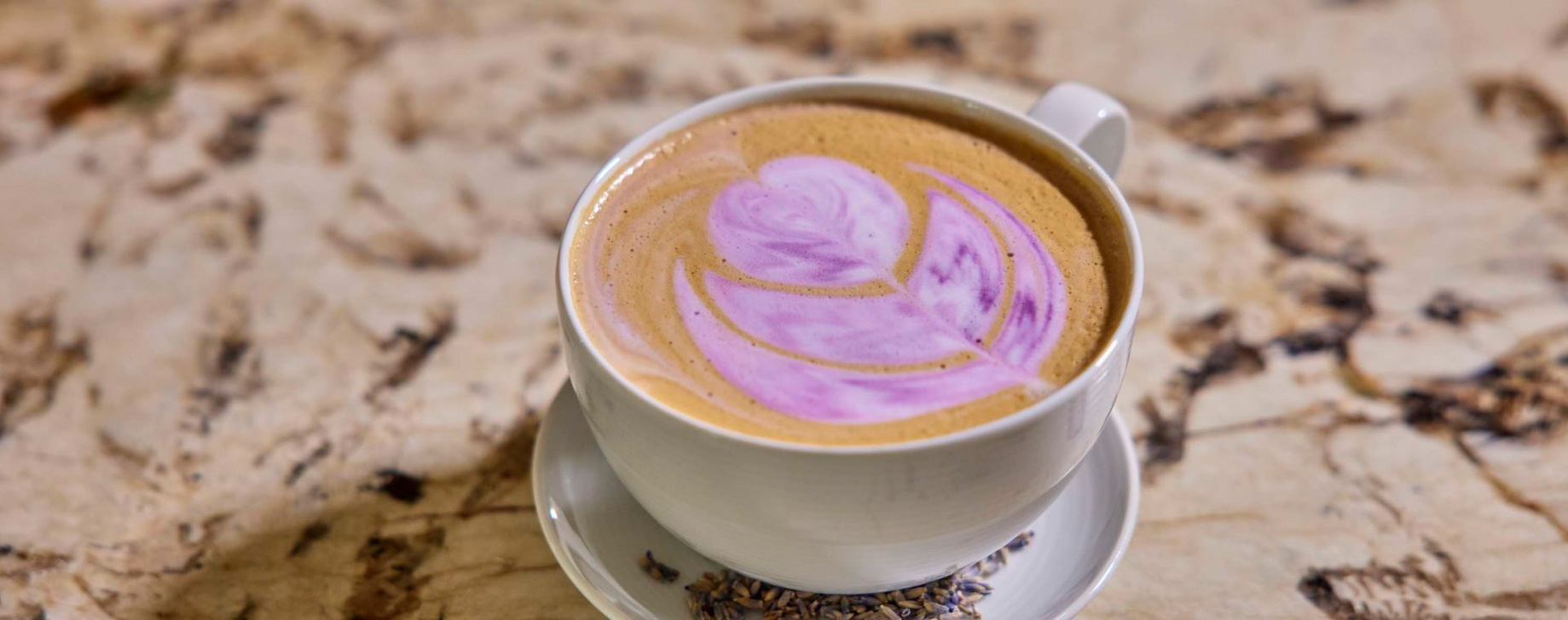 Viceroy Washington DC Hotel – Washington, DC, USA – BPM Coffee & Wine