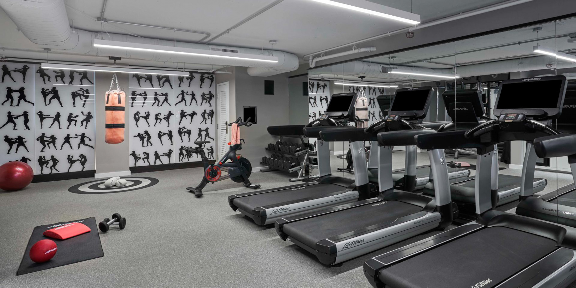 Hotel Zena, a Viceroy Urban Retreat - Washington, DC, USA - Fitness Center