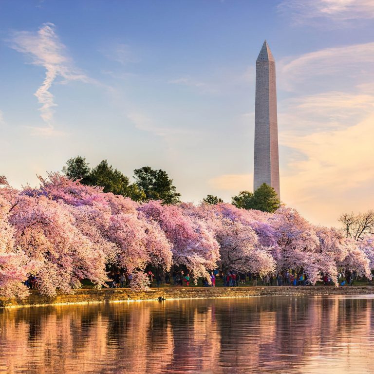 Hotel Zena, a Viceroy Urban Retreat – Washington, DC, USA – Monument