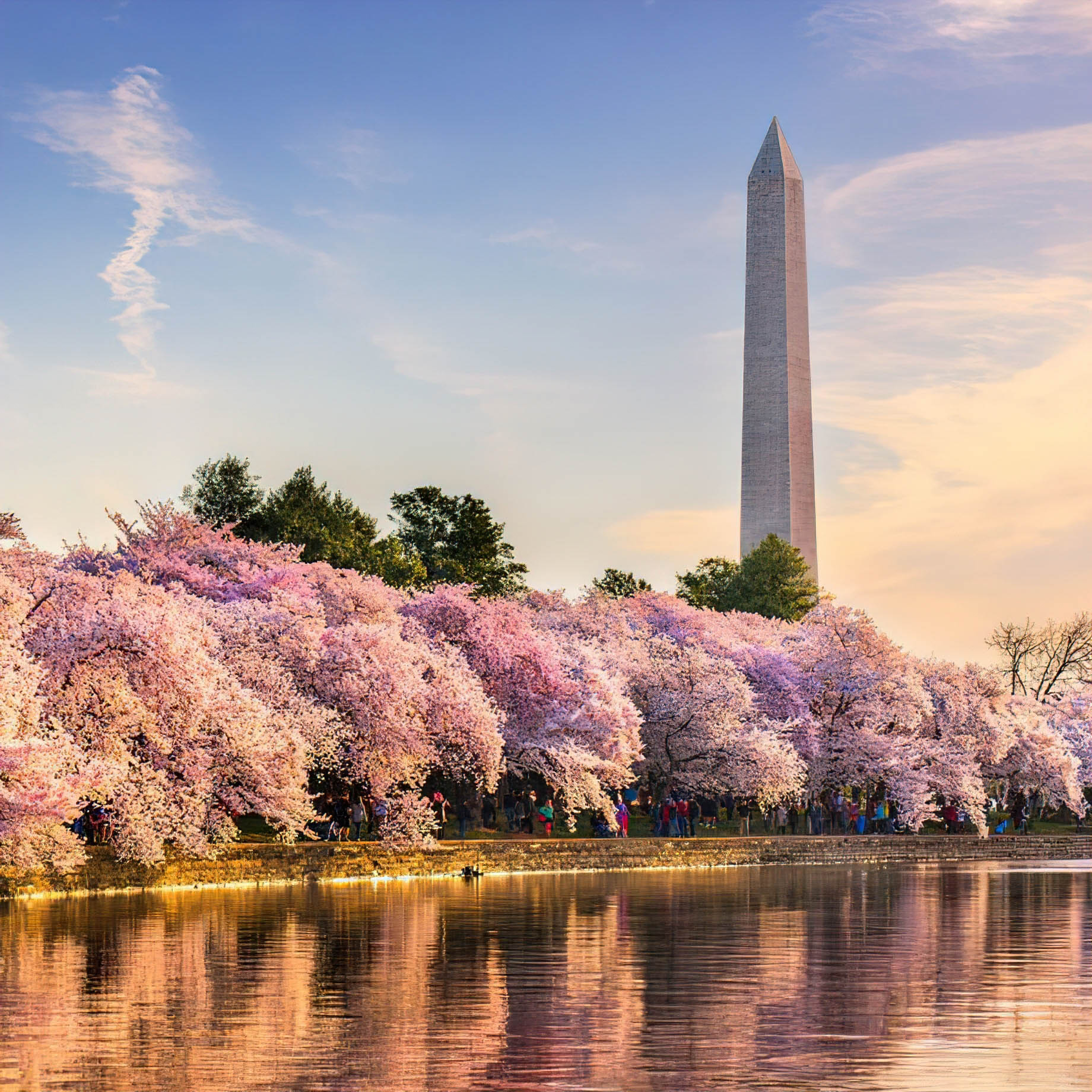 Hotel Zena, a Viceroy Urban Retreat - Washington, DC, USA - Monument