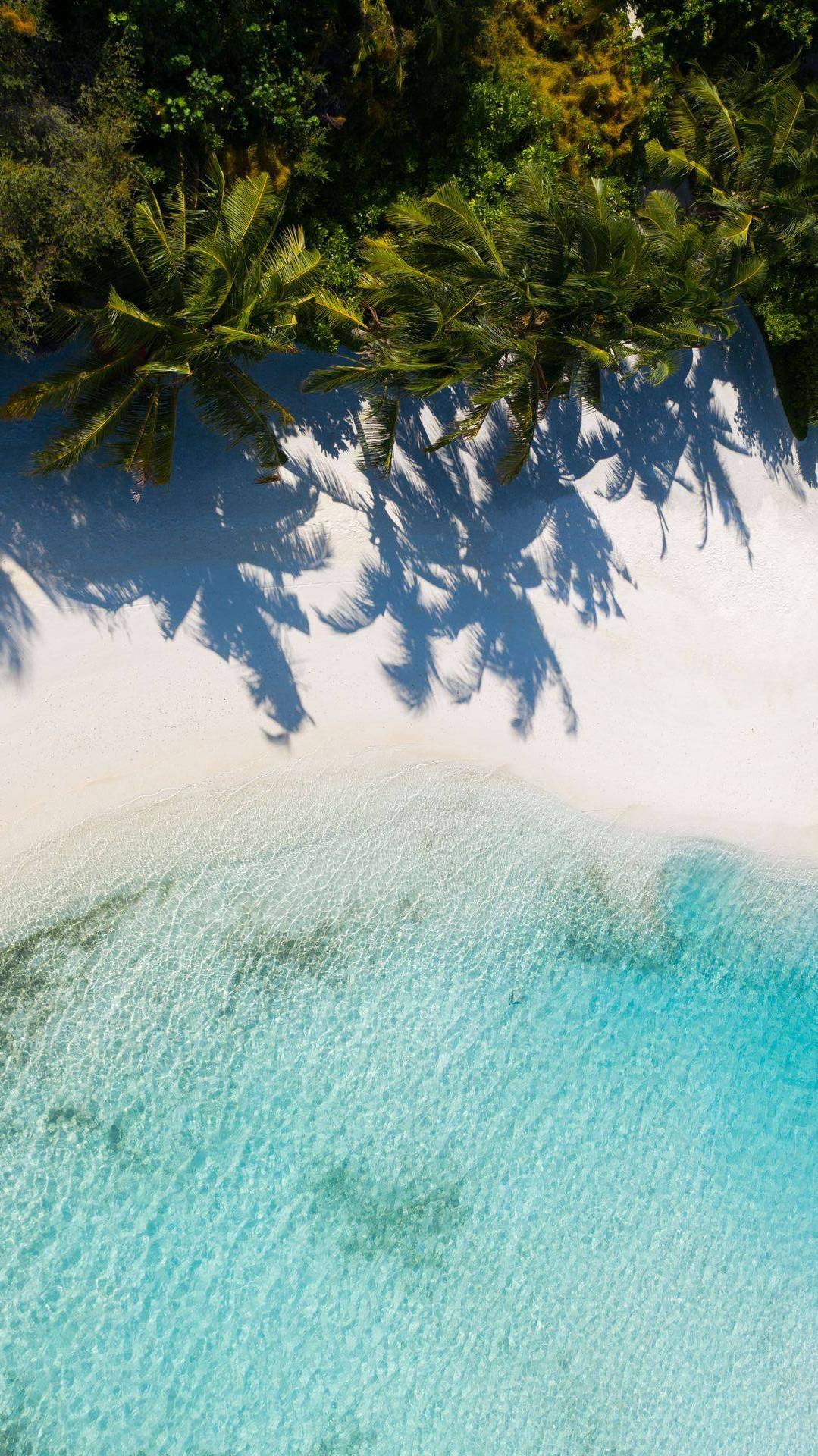 Anantara Veli Maldives Resort – South Male Atoll, Maldives – Private Beach Overhead Aerial View