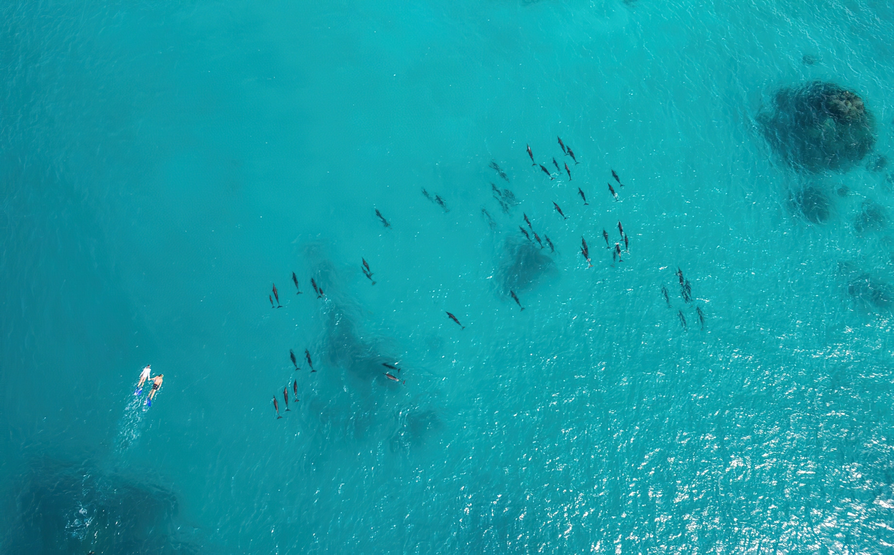 Anantara Veli Maldives Resort - South Male Atoll, Maldives - Snorkelling