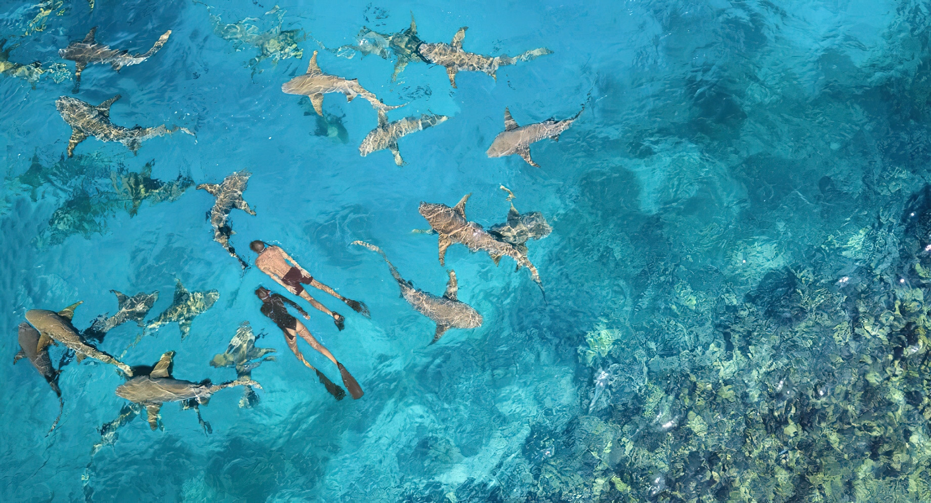 Anantara Veli Maldives Resort – South Male Atoll, Maldives – Snorkelling