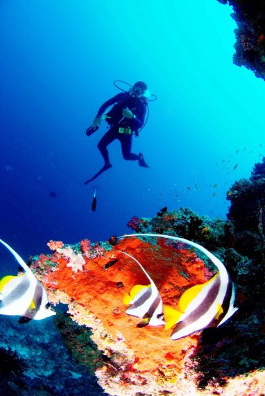 Anantara Veli Maldives Resort - South Male Atoll, Maldives - Scuba Diving