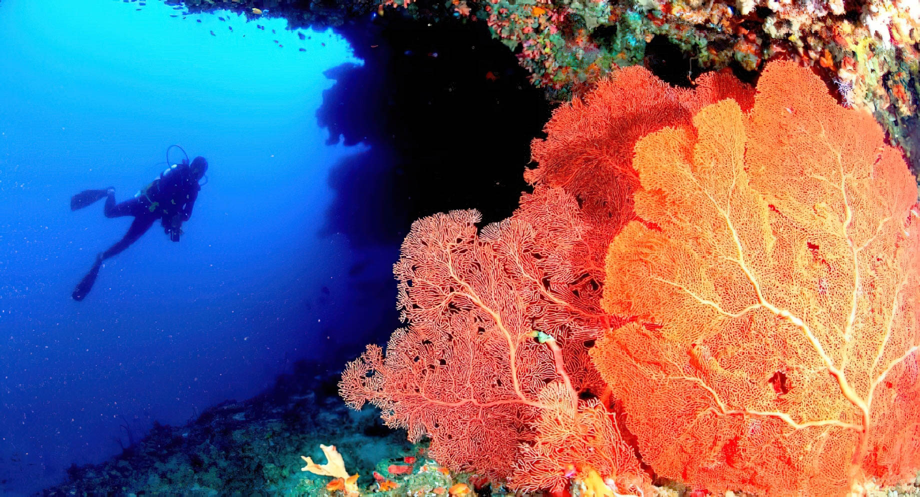 Anantara Veli Maldives Resort – South Male Atoll, Maldives – Scuba Diving