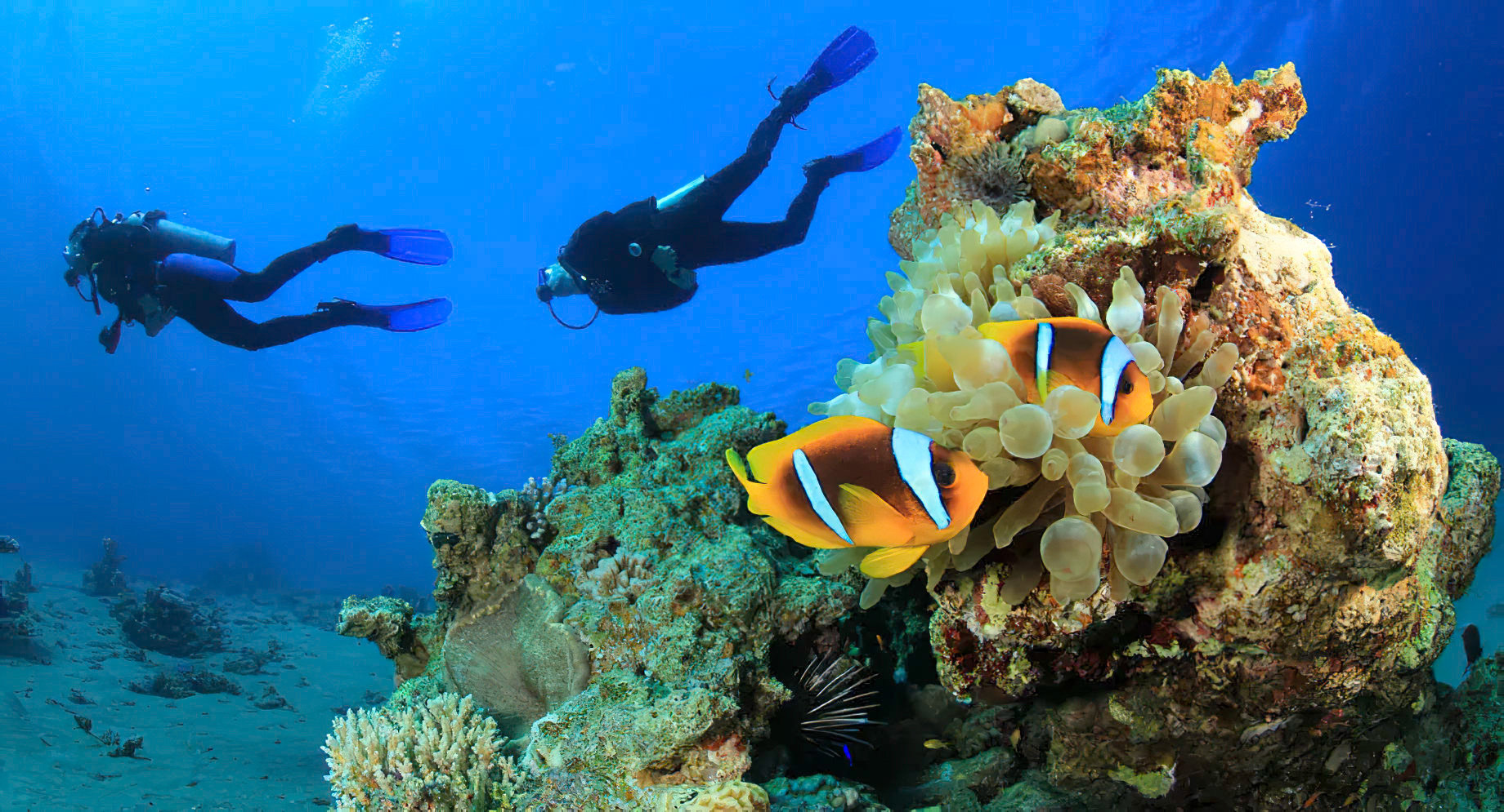Anantara Veli Maldives Resort – South Male Atoll, Maldives – Scuba Diving