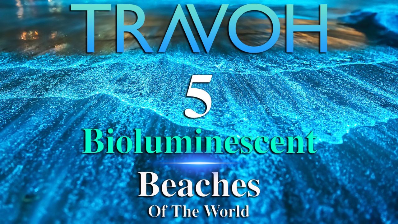 5 Bioluminescent Beaches Of The World