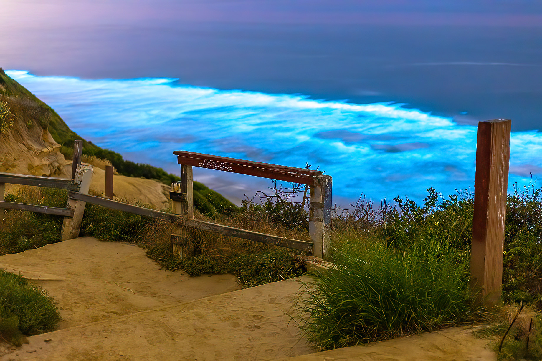 View Of Blacks Beach, La Jolla San Diego California USA