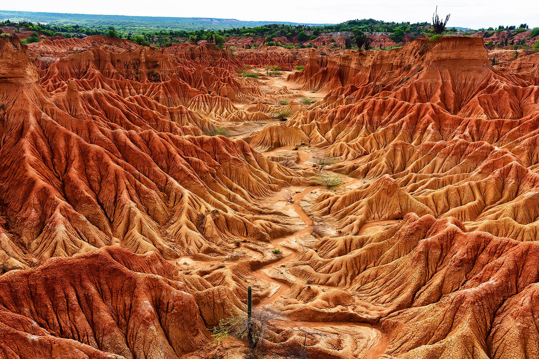 Desert Tatacoa - Desierto de la Tatacoa, Colombia