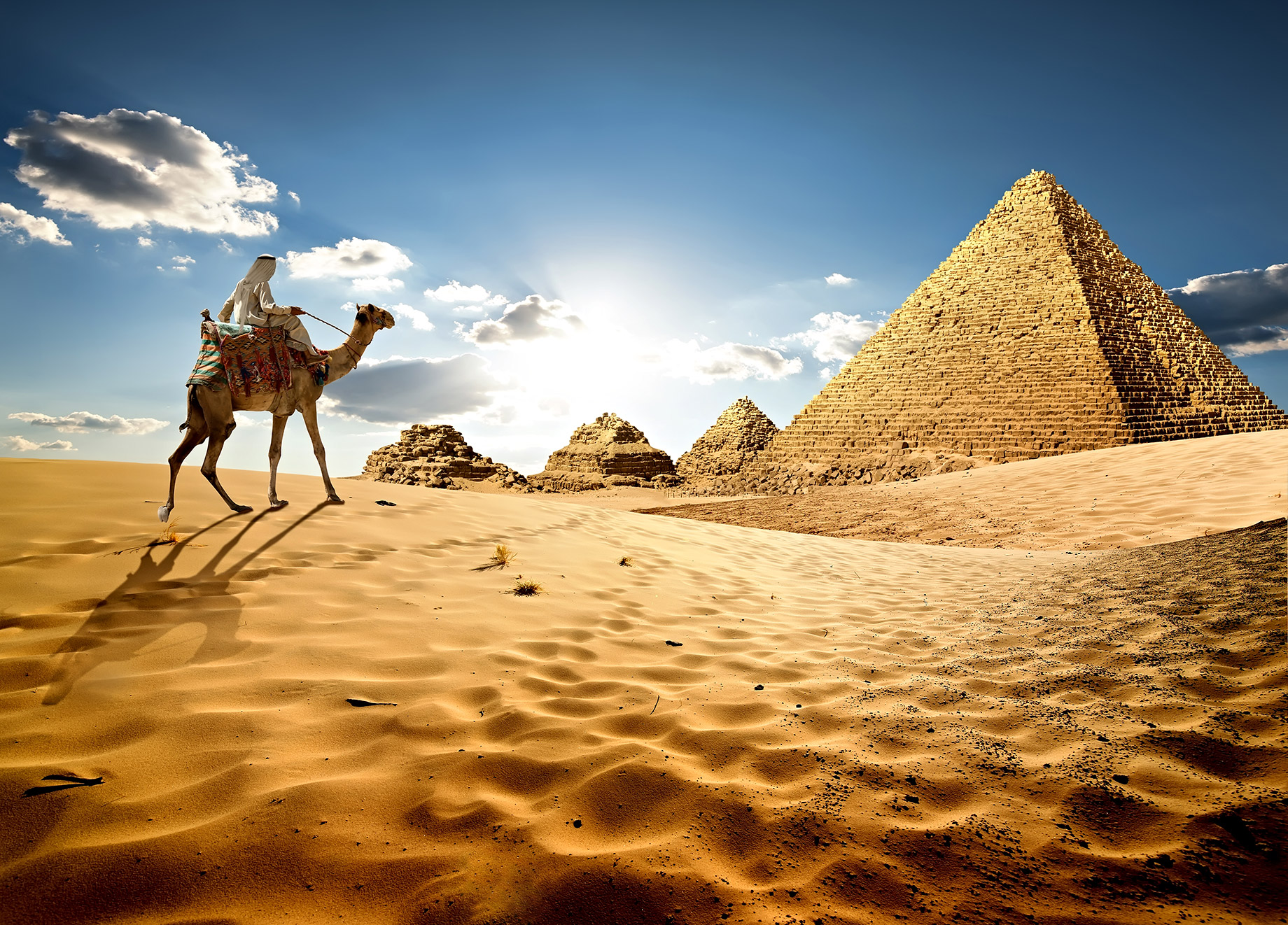 Digital Nomad Riding a Camel to The Great Pyramids of Giza, Egypt