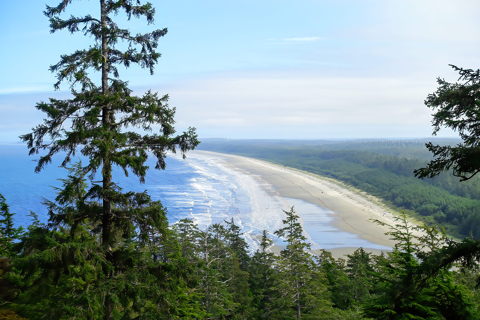 Endless Ocean and Coastline, In Haida Gwaii, British Columbia, Canada