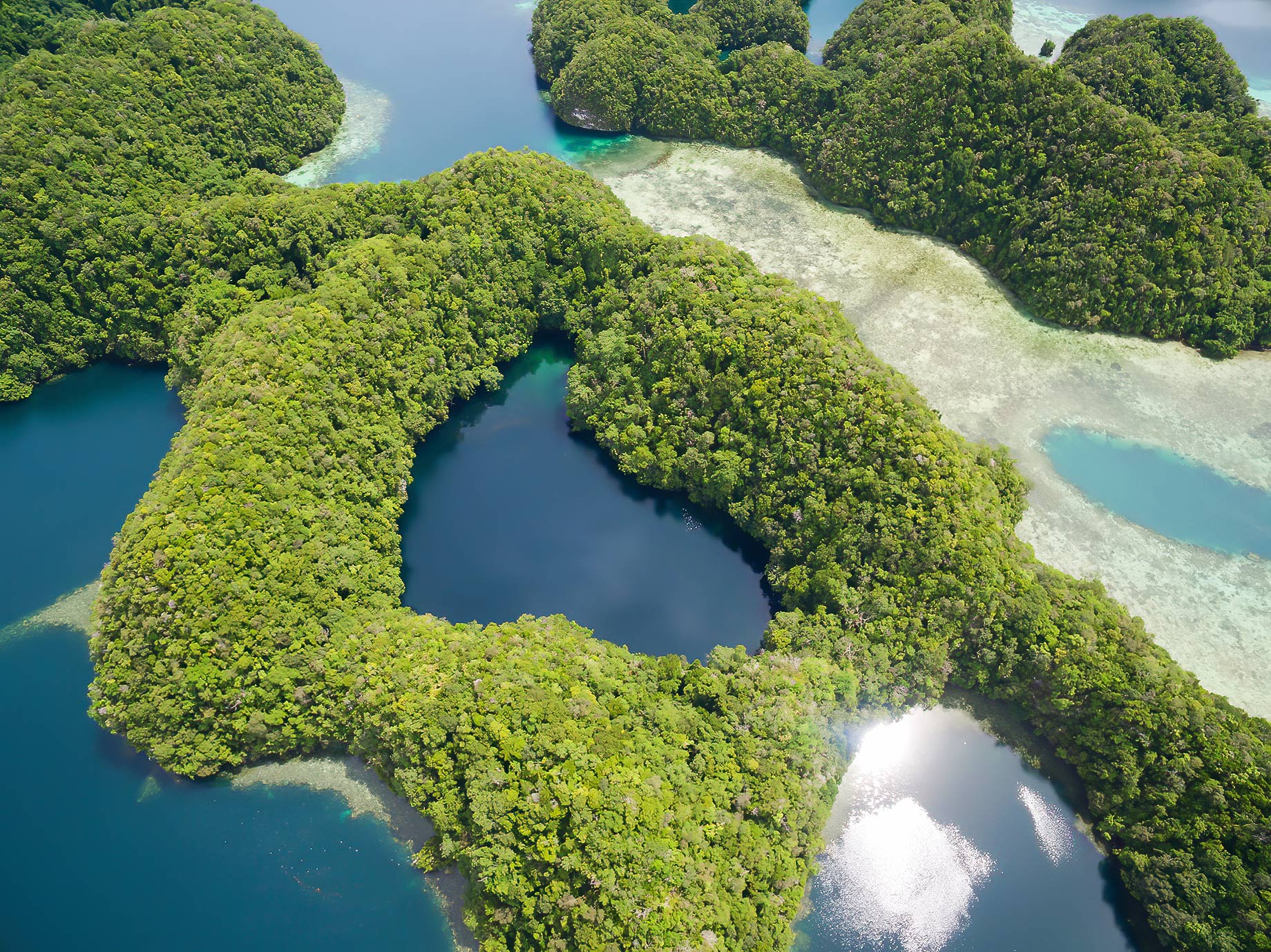 Jellyfish Lake On A Tropical island