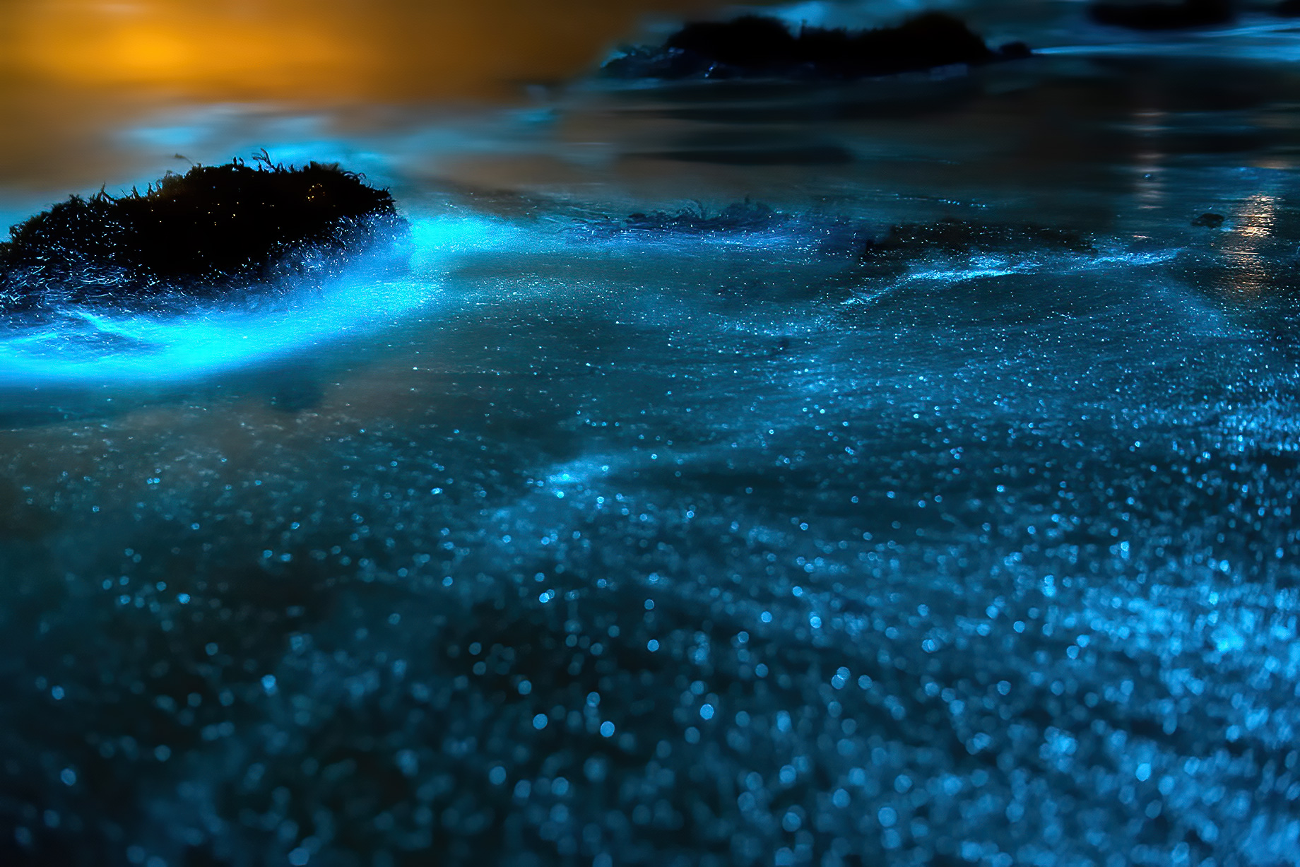 Glowing Bioluminescent Sea, Jervis Bay, Australia
